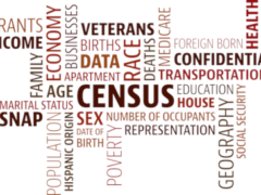 Census Word Cloud