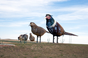 Get Your Town on the Map with Public Art Archive