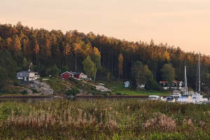 Reflections on Norway - Rural Resurrection