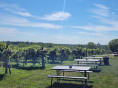 University of Minnesota is Assisting Agritourism