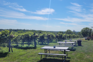 Zoning for Agritourism: Why Rules Matter